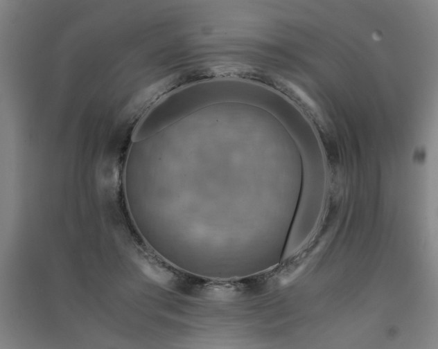 X0000091480405200708161422