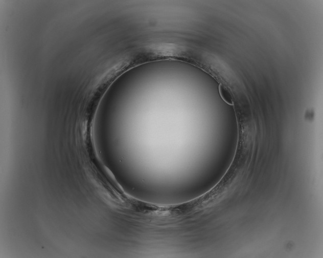 X0000091480406200708161422