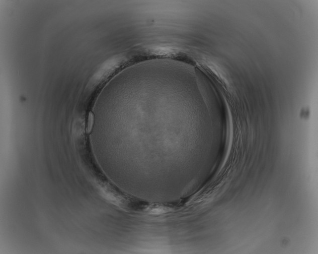 X0000091480407200708161422