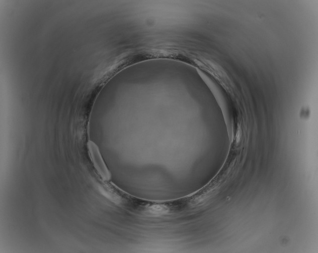 X0000091480409200708161422
