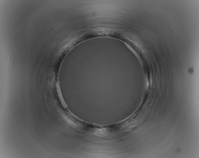 X0000091480411200708161422