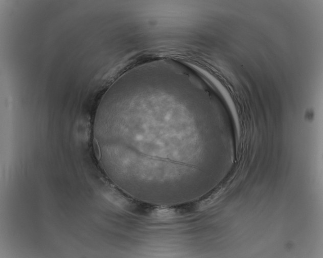 X0000091480413200708161422