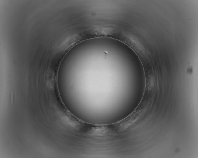 X0000091480414200708161422