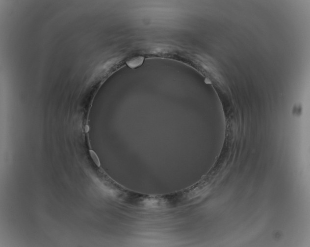 X0000091480415200708161422