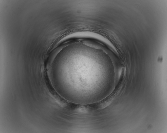 X0000091480416200708161422