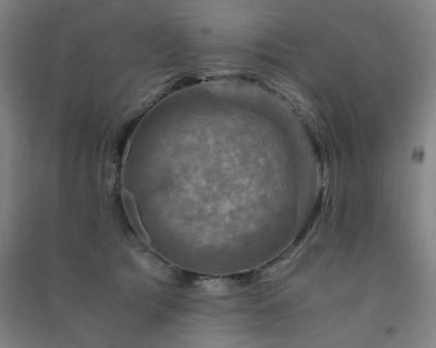 X0000091480417200708161422