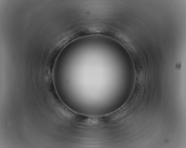 X0000091480418200708161422