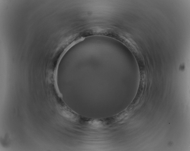 X0000091480419200708161422