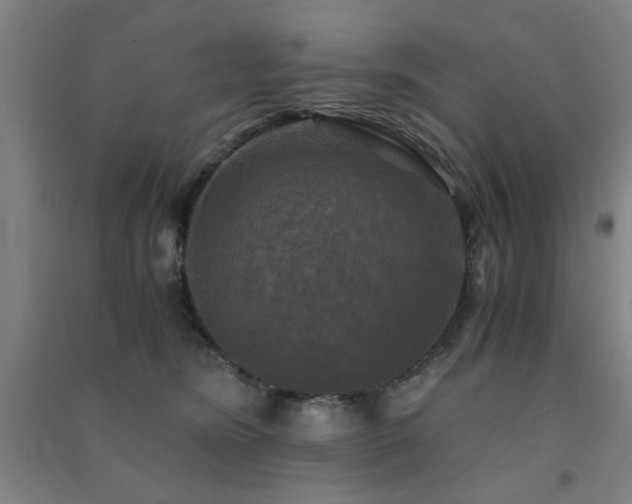 X0000091480420200708161422