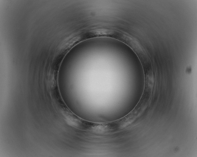 X0000091480422200708161422