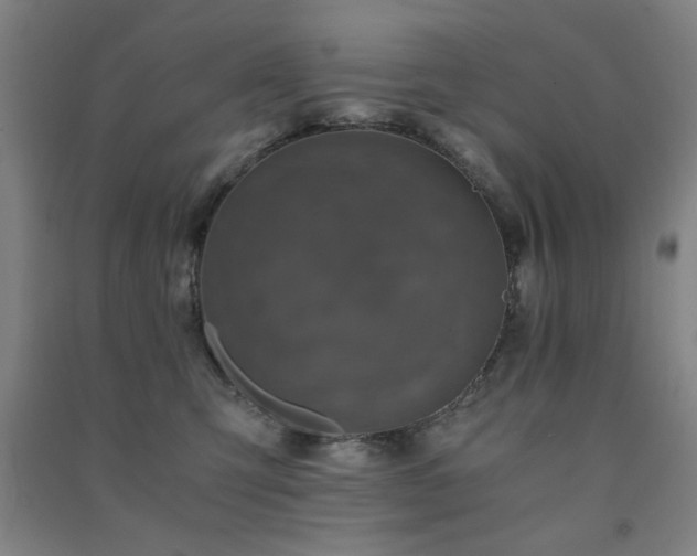X0000091480423200708161422