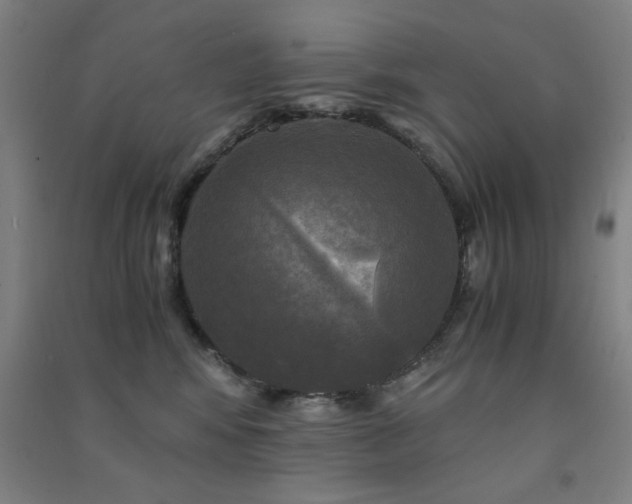 X0000091480424200708161422
