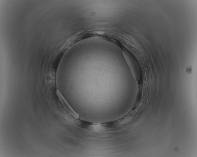 X0000091480425200708161422