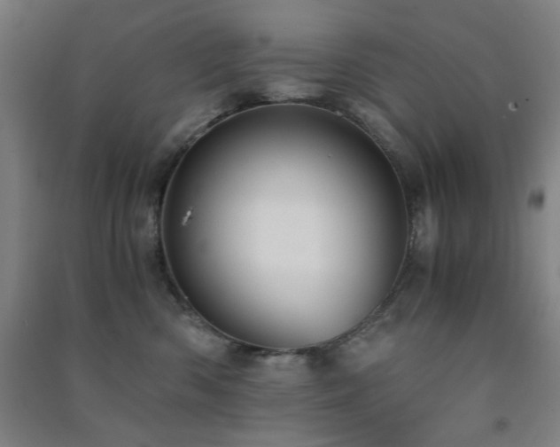 X0000091480426200708161422