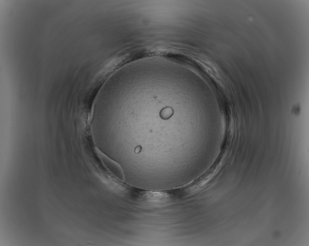 X0000091480429200708161422