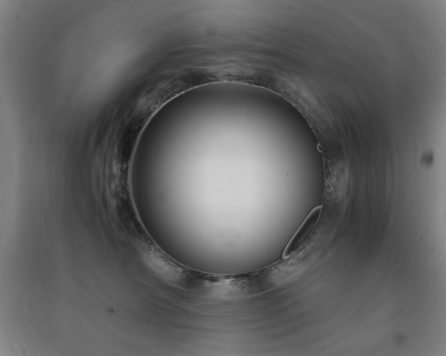 X0000091480430200708161422
