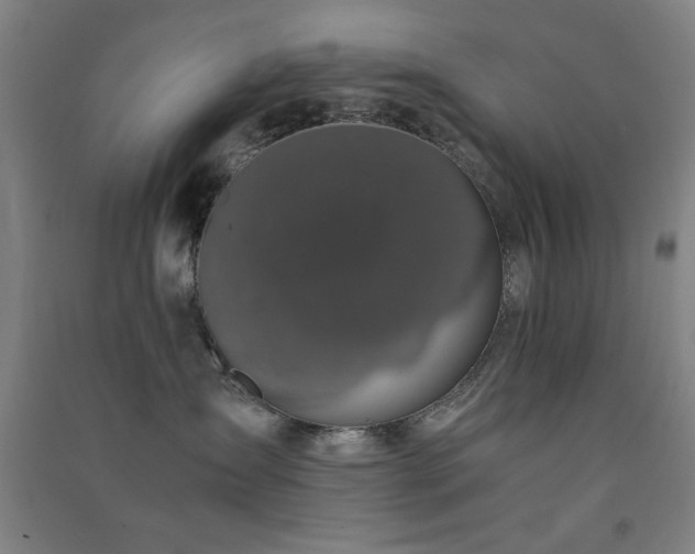 X0000091480431200708161422