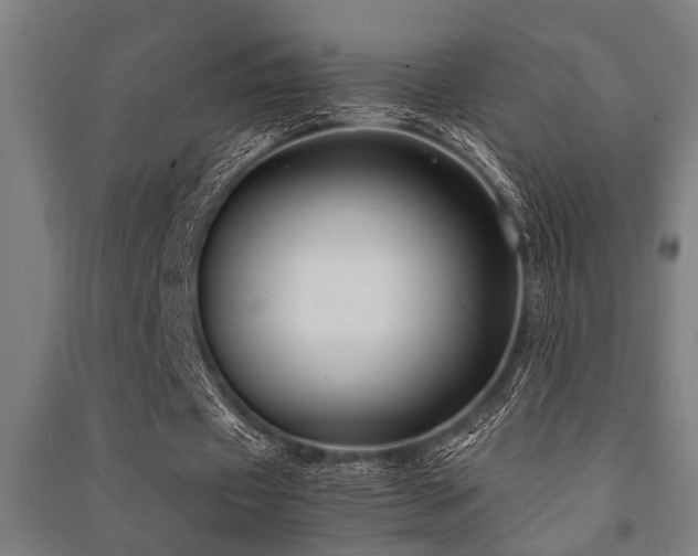 X0000091480433200708161421