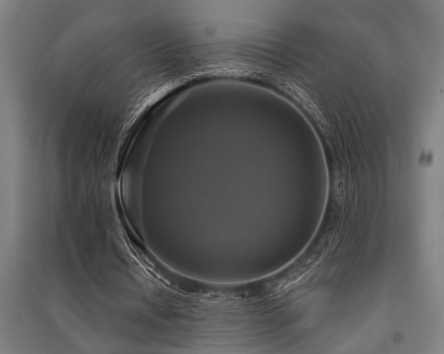 X0000091480434200708161421