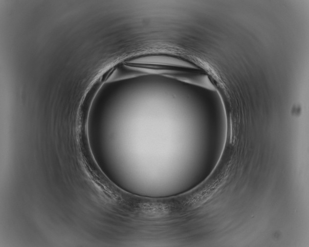 X0000091480435200708161421