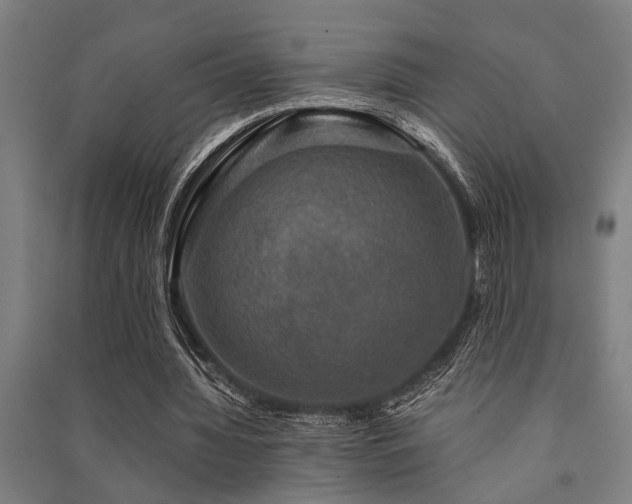 X0000091480436200708161422