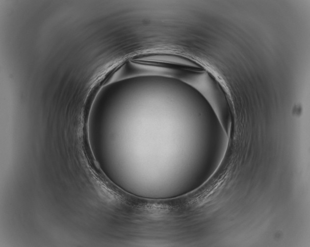 X0000091480437200708161422