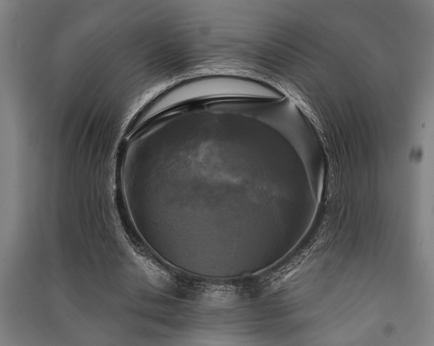 X0000091480438200708161422