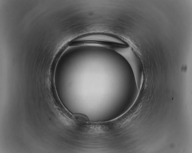 X0000091480439200708161422