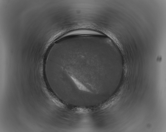 X0000091480442200708161422