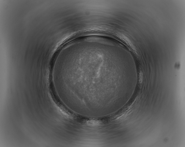 X0000091480444200708161422