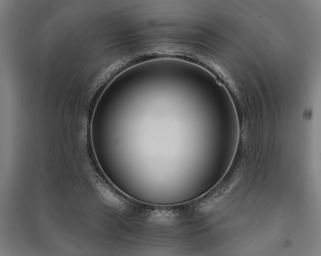 X0000091480445200708161422