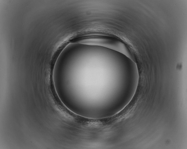 X0000091480446200708161422