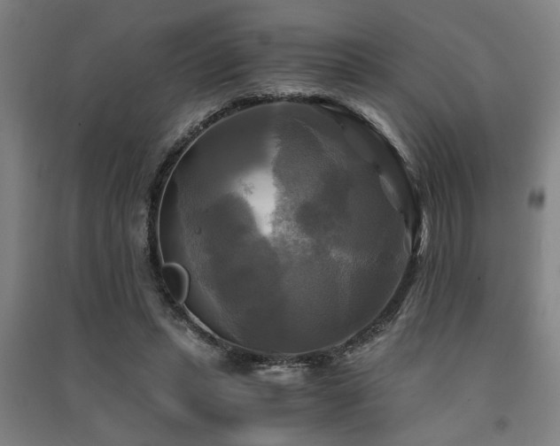 X0000091480447200708161422