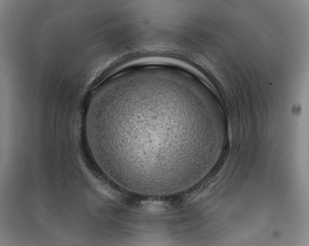 X0000091480448200708161422