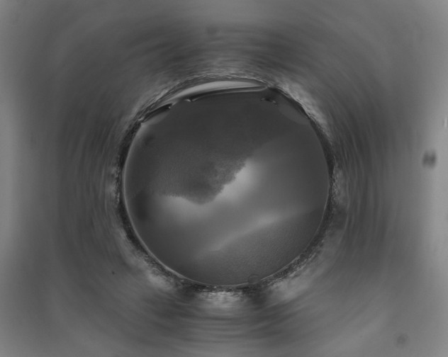 X0000091480449200708161422