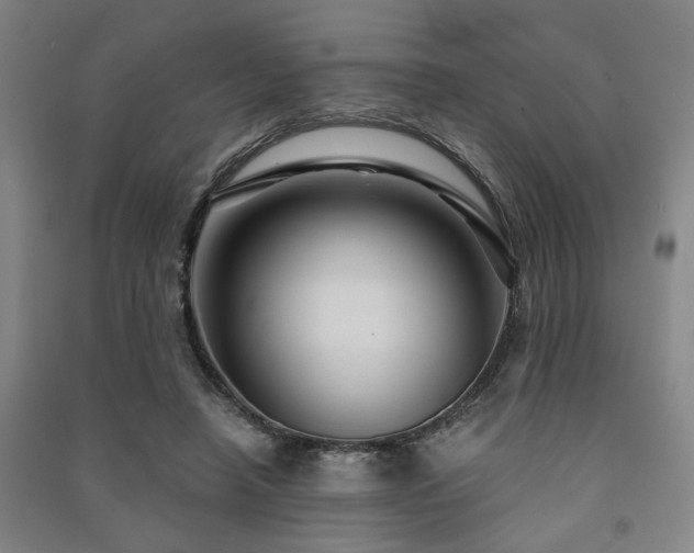 X0000091480450200708161422