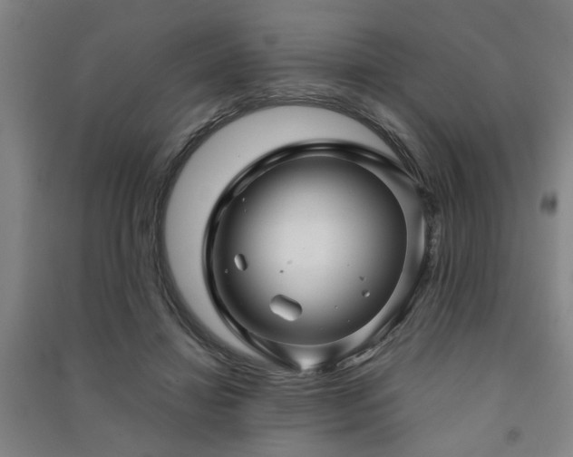 X0000091480452200708161422