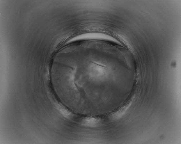 X0000091480453200708161422