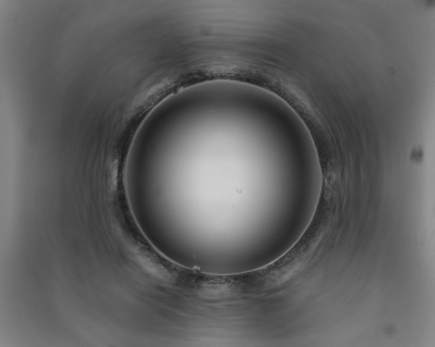 X0000091480454200708161422
