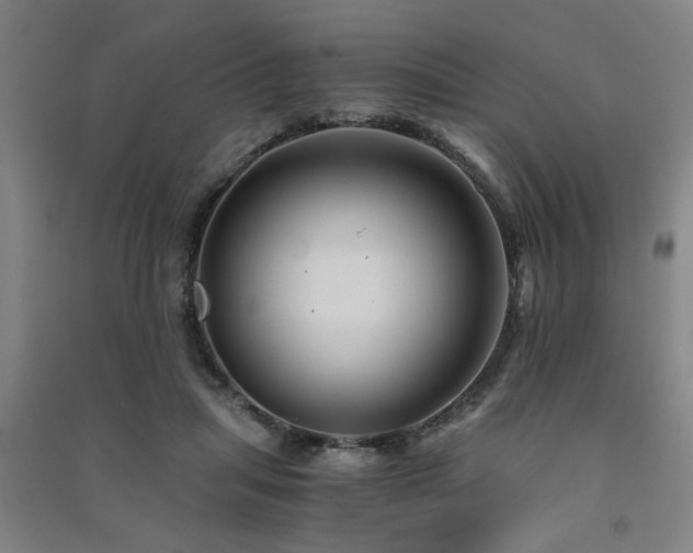 X0000091480455200708161422