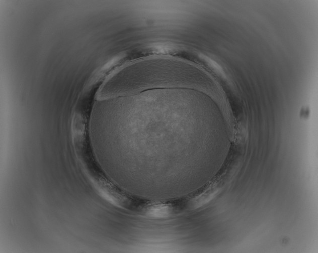 X0000091480456200708161422