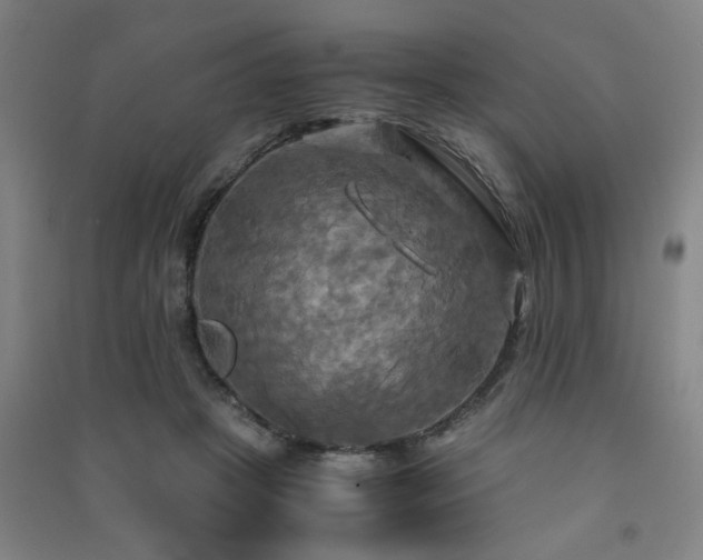 X0000091480457200708161422