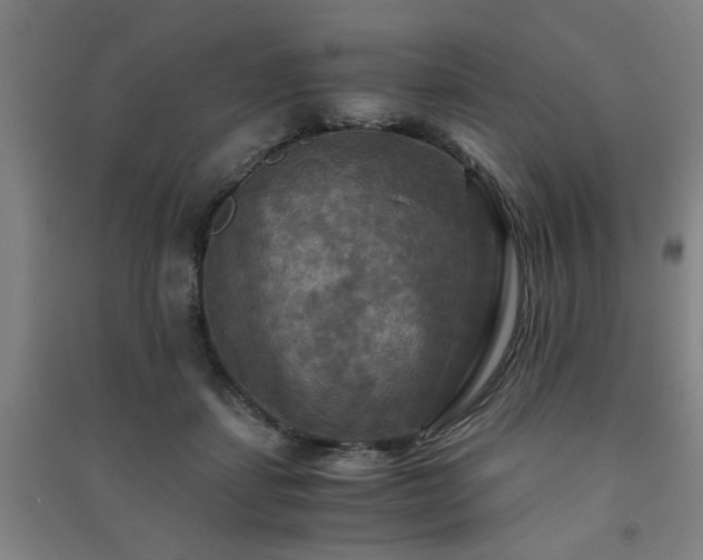 X0000091480459200708161422