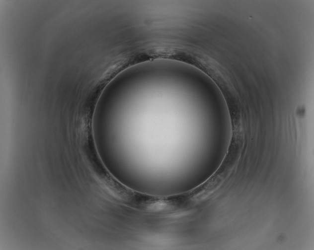 X0000091480460200708161422