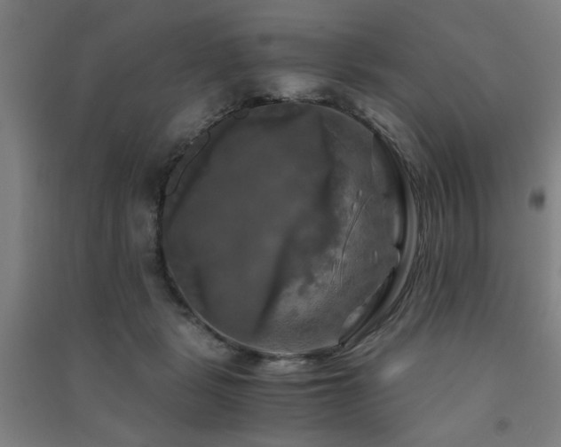 X0000091480461200708161422