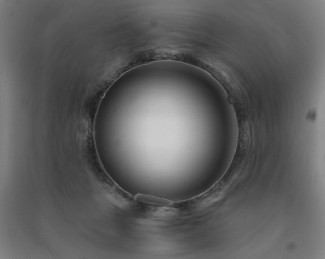 X0000091480463200708161422