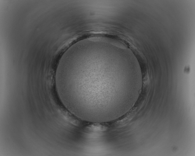 X0000091480464200708161422