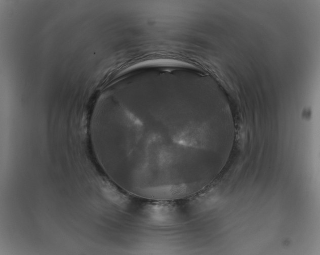X0000091480466200708161422