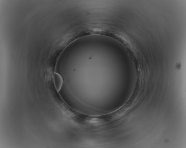 X0000091480467200708161422