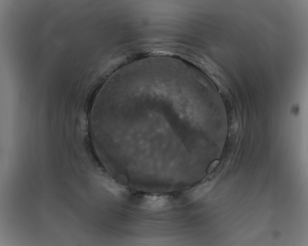 X0000091480469200708161422